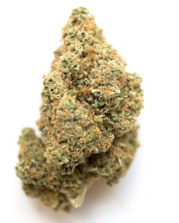 Florida Cake Strain