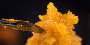 order cannabis live resin online legally